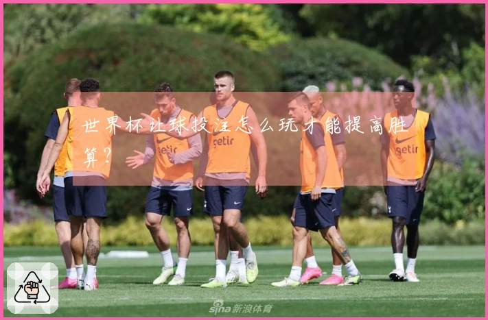 世界杯让球投注怎么玩才能提高胜算?