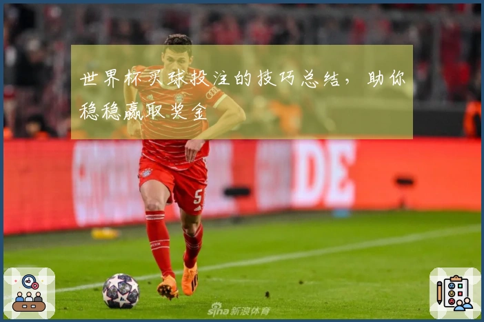 世界杯买球投注的技巧总结，助你稳稳赢取奖金