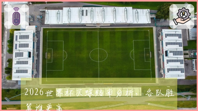 2026世界杯买球赔率分析，各队胜算谁更高