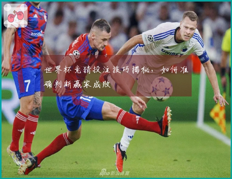 世界杯竞猜投注技巧揭秘，如何准确判断赢家成败