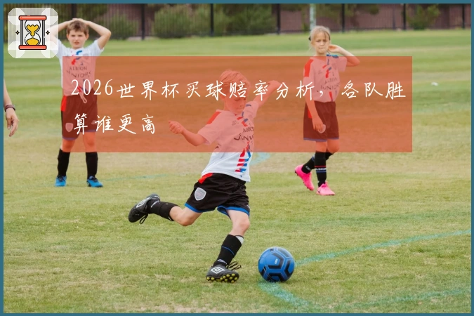 2026世界杯买球赔率分析，各队胜算谁更高