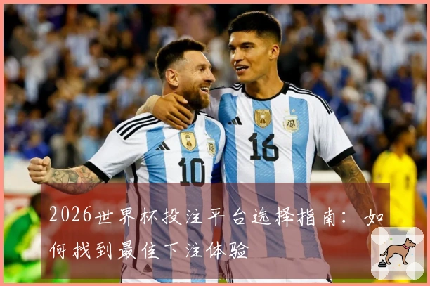 2026世界杯投注平台选择指南：如何找到最佳下注体验
