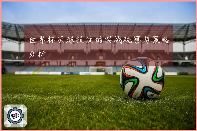 世界杯买球投注的实战观察与策略分析