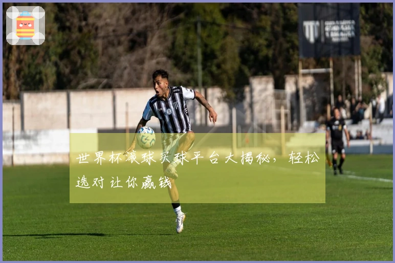 世界杯滚球买球平台大揭秘，轻松选对让你赢钱