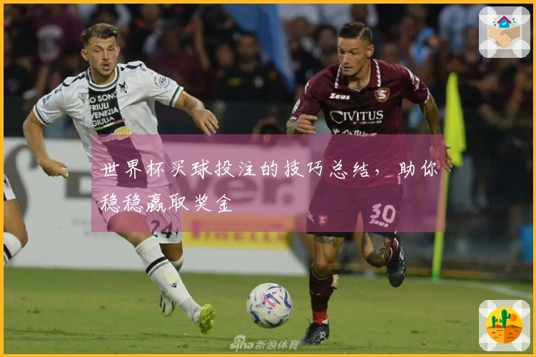 世界杯买球投注的技巧总结，助你稳稳赢取奖金