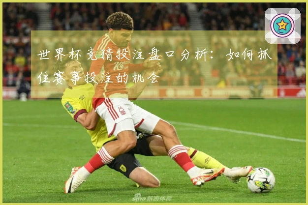 世界杯竞猜投注盘口分析：如何抓住赛事投注的机会