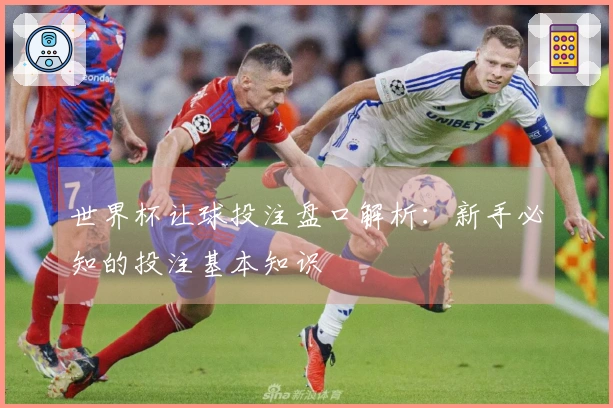世界杯让球投注盘口解析：新手必知的投注基本知识
