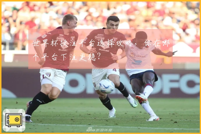 世界杯投注平台选择攻略，你在哪个平台下注更稳？