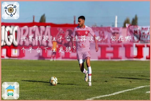 世界杯投注平台选择攻略，你在哪个平台下注更稳？