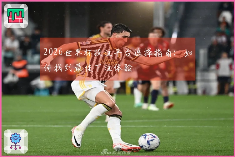 2026世界杯投注平台选择指南：如何找到最佳下注体验