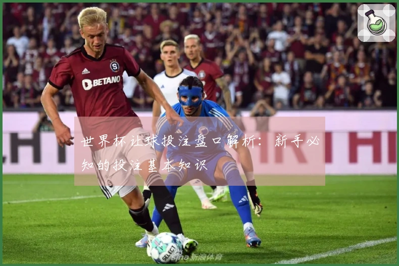 世界杯让球投注盘口解析：新手必知的投注基本知识